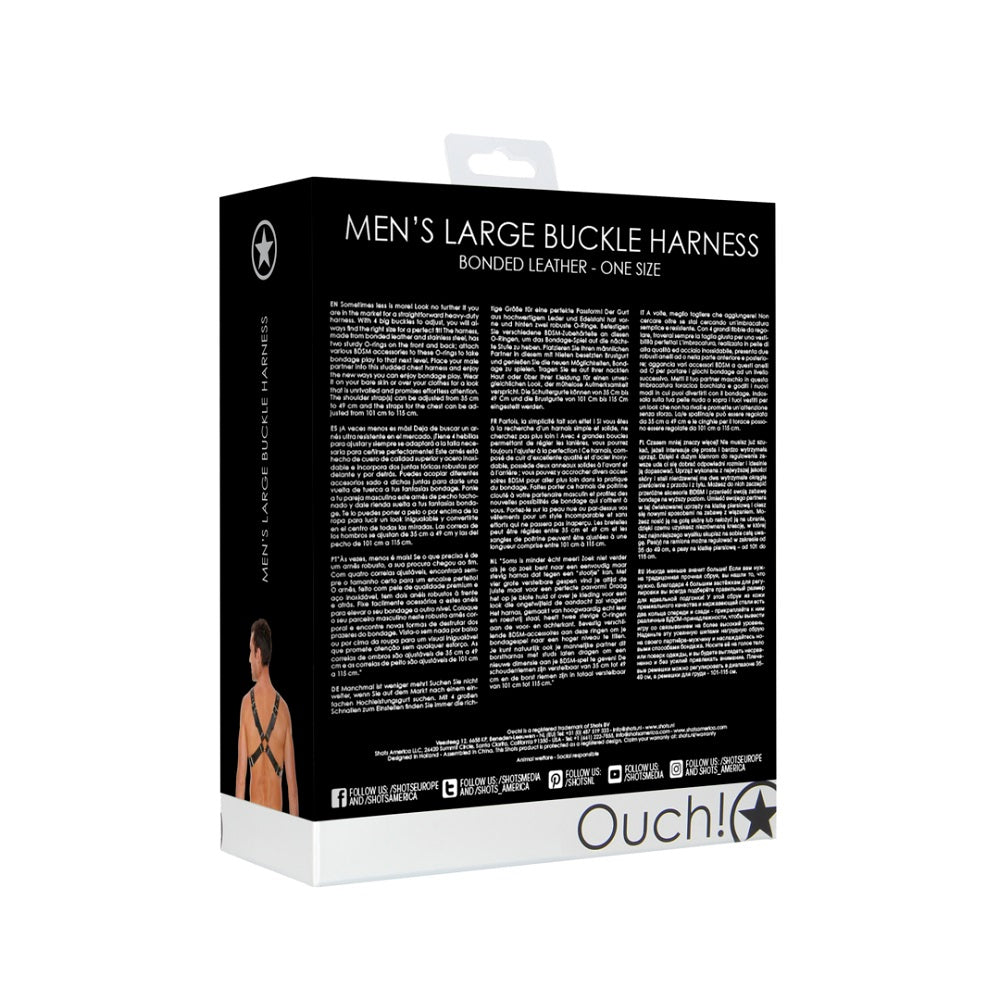 Leather Harness with Large Buckle One Size